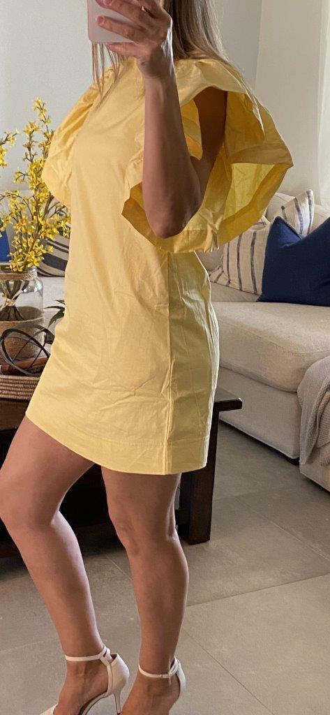 BIG RUFFLE SLEEVE MINI DRESS
