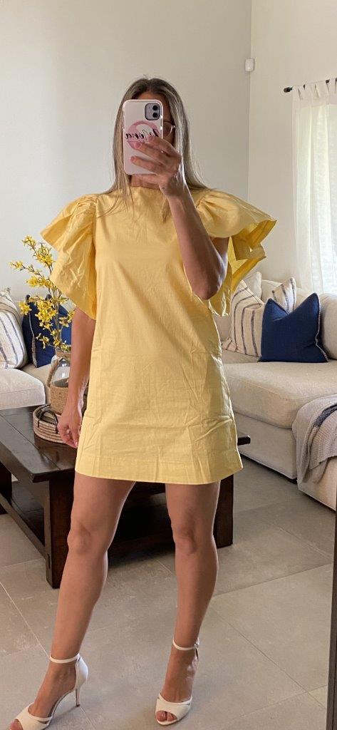 BIG RUFFLE SLEEVE MINI DRESS